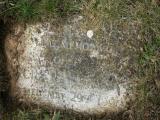 image of grave number 54441